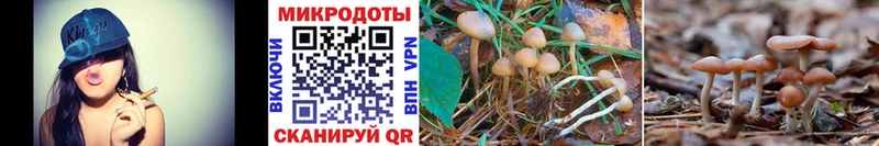 Купить закладки  Орёл  Псилоцибиновые грибы Magic Shrooms 