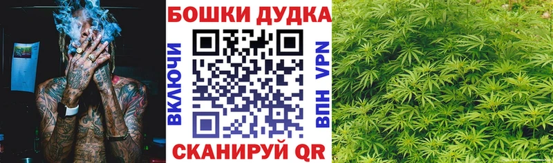 Канабис план  Купить где  Орёл 